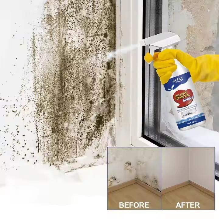 Multipurpose Mold Remover Cleaning & Mildew Removal